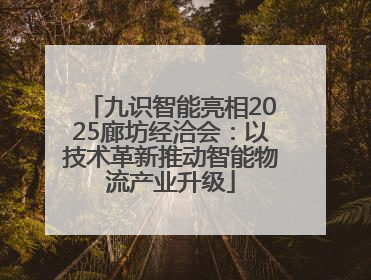 九识智能亮相2025廊坊经洽会：以技术革新推动智能物流产业升级