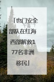 也门安全部队在红海西部解救177名非洲移民