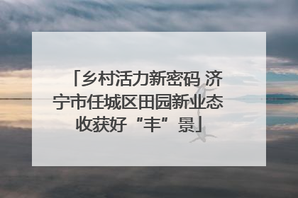 乡村活力新密码 济宁市任城区田园新业态收获好“丰”景