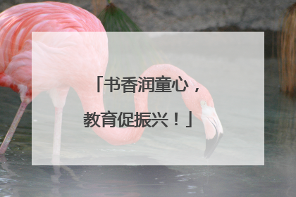 书香润童心，教育促振兴！