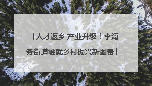 人才返乡 产业升级！李海务街道绘就乡村振兴新图景