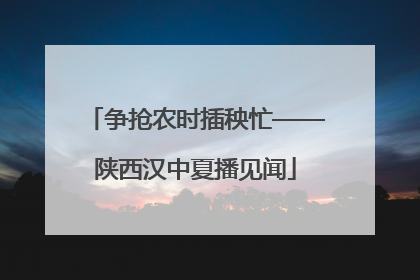 争抢农时插秧忙——陕西汉中夏播见闻