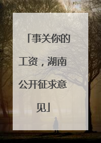 事关你的工资，湖南公开征求意见