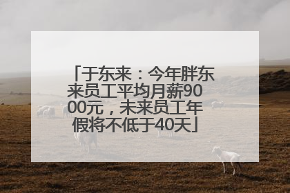 于东来：今年胖东来员工平均月薪9000元，未来员工年假将不低于40天