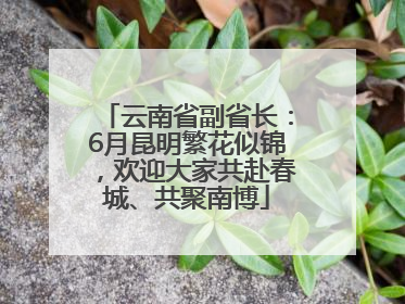 云南省副省长:6月昆明繁花似锦,欢迎大家共赴春城、共聚南博