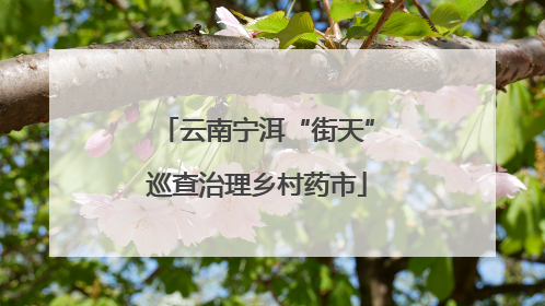 云南宁洱“街天”巡查治理乡村药市