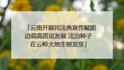 云南开展民法典宣传赋能边疆高质量发展 法治种子在云岭大地生根发芽