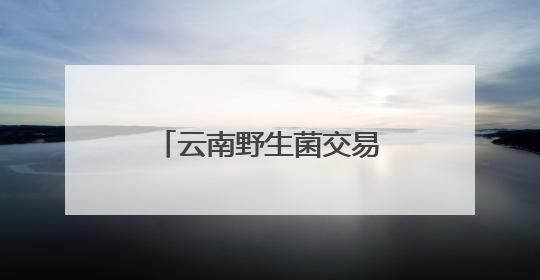 云南野生菌交易逐渐进入高峰期