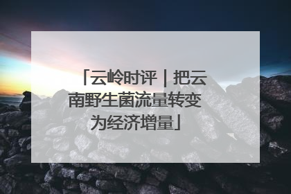 云岭时评｜把云南野生菌流量转变为经济增量