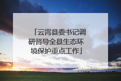 云霄县委书记调研督导全县生态环境保护重点工作