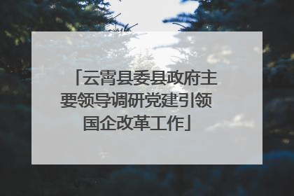 云霄县委县政府主要领导调研党建引领国企改革工作