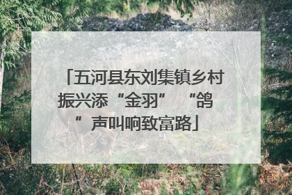 五河县东刘集镇乡村振兴添“金羽” “鸽”声叫响致富路