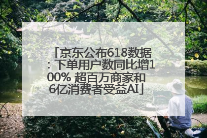 京东公布618数据：下单用户数同比增100% 超百万商家和6亿消费者受益AI