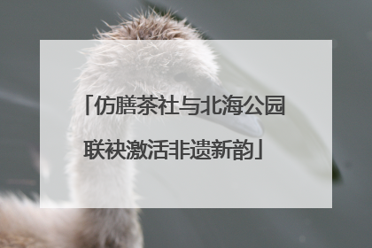 仿膳茶社与北海公园联袂激活非遗新韵