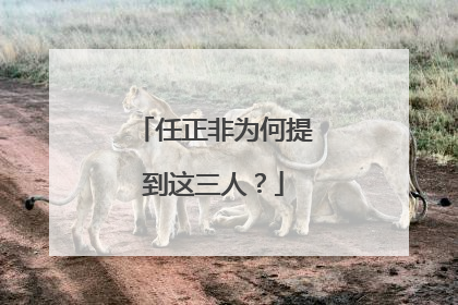 任正非为何提到这三人？