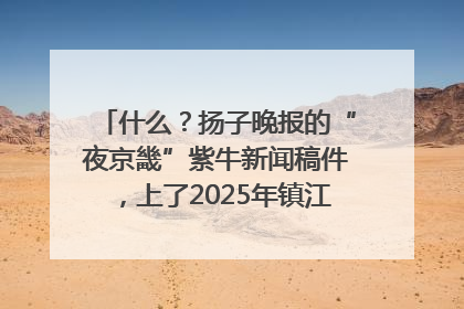 什么？扬子晚报的“夜京畿”紫牛新闻稿件，上了2025年镇江中考模拟卷！