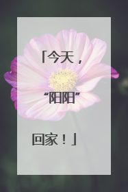 今天，“阳阳”回家！
