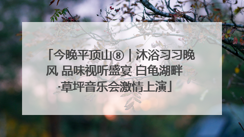 今晚平顶山⑧｜沐浴习习晚风 品味视听盛宴 白龟湖畔·草坪音乐会激情上演