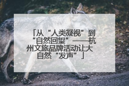 从“人类凝视”到“自然回望”——杭州文旅品牌活动让大自然“发声”