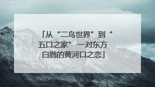 从“二鸟世界”到“五口之家” 一对东方白鹳的黄河口之恋