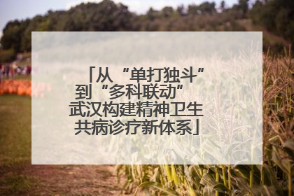 从“单打独斗”到“多科联动” 武汉构建精神卫生共病诊疗新体系