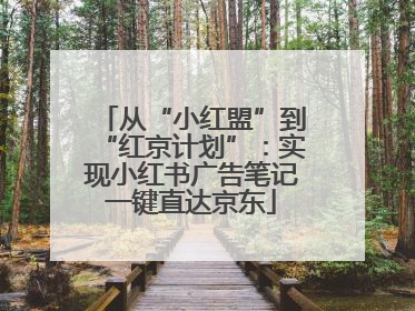 从“小红盟”到“红京计划”：实现小红书广告笔记一键直达京东