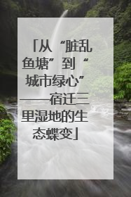 从“脏乱鱼塘”到“城市绿心”——宿迁三里湿地的生态蝶变