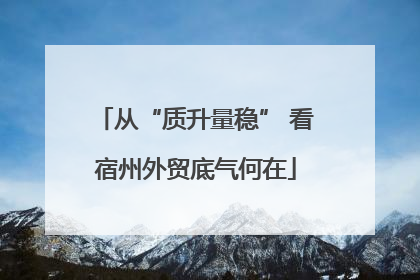 从“质升量稳” 看宿州外贸底气何在