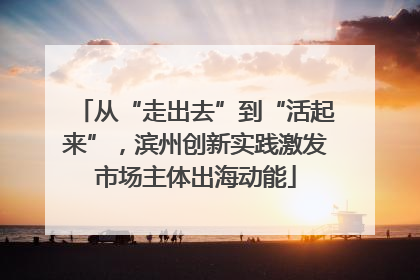 从“走出去”到“活起来”，滨州创新实践激发市场主体出海动能