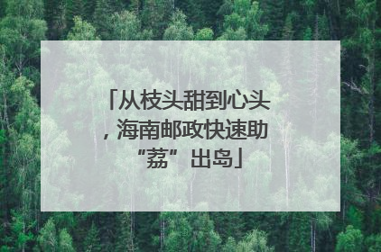 从枝头甜到心头，海南邮政快速助“荔”出岛