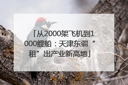 从2000架飞机到1000艘船：天津东疆“租”出产业新高地
