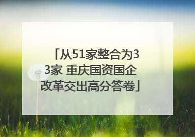从51家整合为33家 重庆国资国企改革交出高分答卷