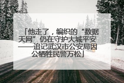 他走了，编织的“数据天网”仍在守护大城平安——追记武汉市公安局因公牺牲民警万松