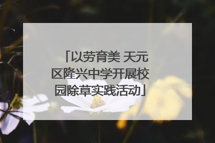 以劳育美 天元区隆兴中学开展校园除草实践活动