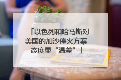 以色列和哈马斯对美国的加沙停火方案态度显“温差”