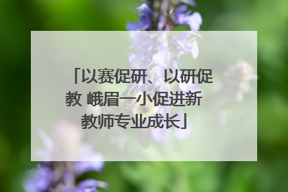 以赛促研、以研促教 峨眉一小促进新教师专业成长