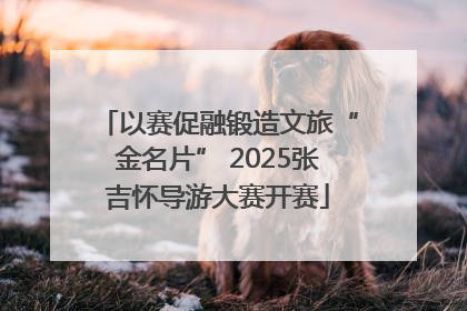 以赛促融锻造文旅“金名片” 2025张吉怀导游大赛开赛
