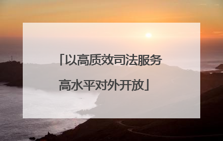 以高质效司法服务高水平对外开放