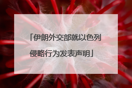 伊朗外交部就以色列侵略行为发表声明