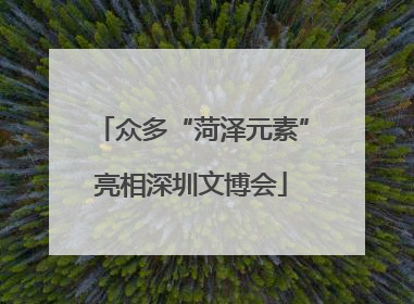 众多“菏泽元素”亮相深圳文博会
