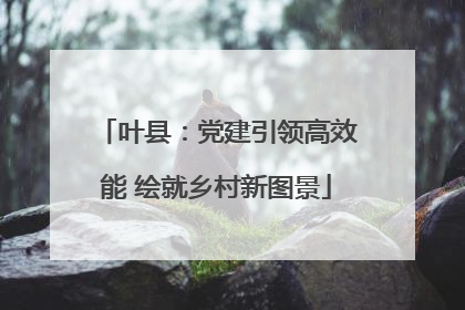 叶县：党建引领高效能 绘就乡村新图景