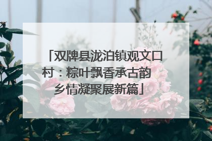 双牌县泷泊镇观文口村：粽叶飘香承古韵 乡情凝聚展新篇