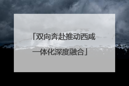 双向奔赴推动西咸一体化深度融合