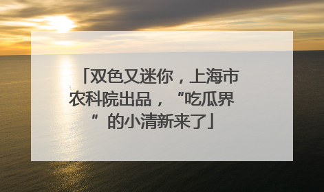 双色又迷你，上海市农科院出品，“吃瓜界”的小清新来了