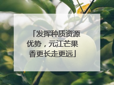 发挥种质资源优势，元江芒果香更长走更远