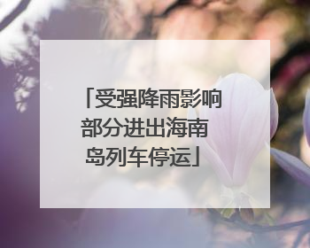 受强降雨影响 部分进出海南岛列车停运