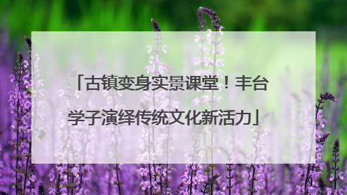 古镇变身实景课堂！丰台学子演绎传统文化新活力
