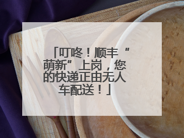 叮咚！顺丰“萌新”上岗，您的快递正由无人车配送！