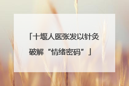 十堰人医张发以针灸破解“情绪密码”