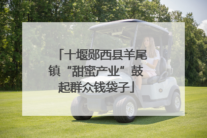 十堰郧西县羊尾镇“甜蜜产业”鼓起群众钱袋子